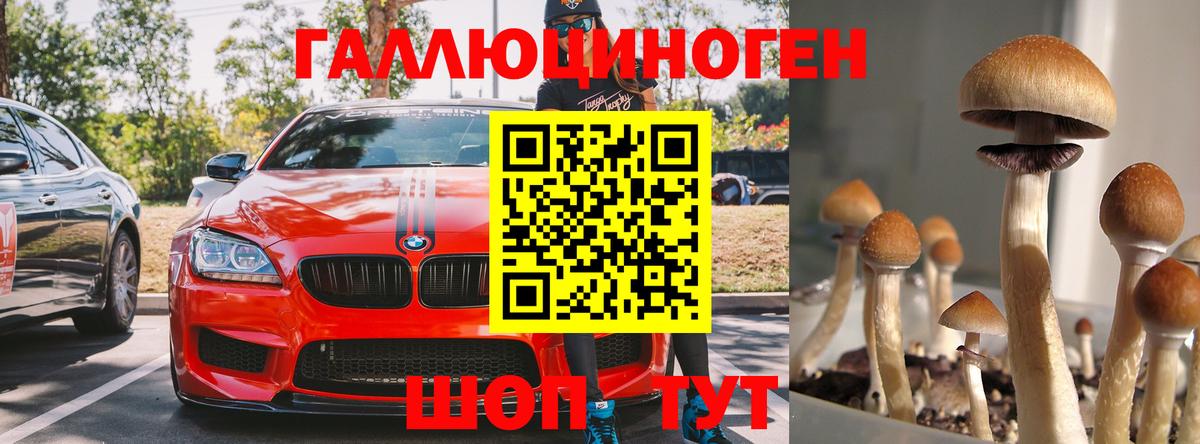 Галлюциногенные грибы GOLDEN TEACHER  Псилоцибиновые грибы прущие грибы  Котлас  Вход с VPN 