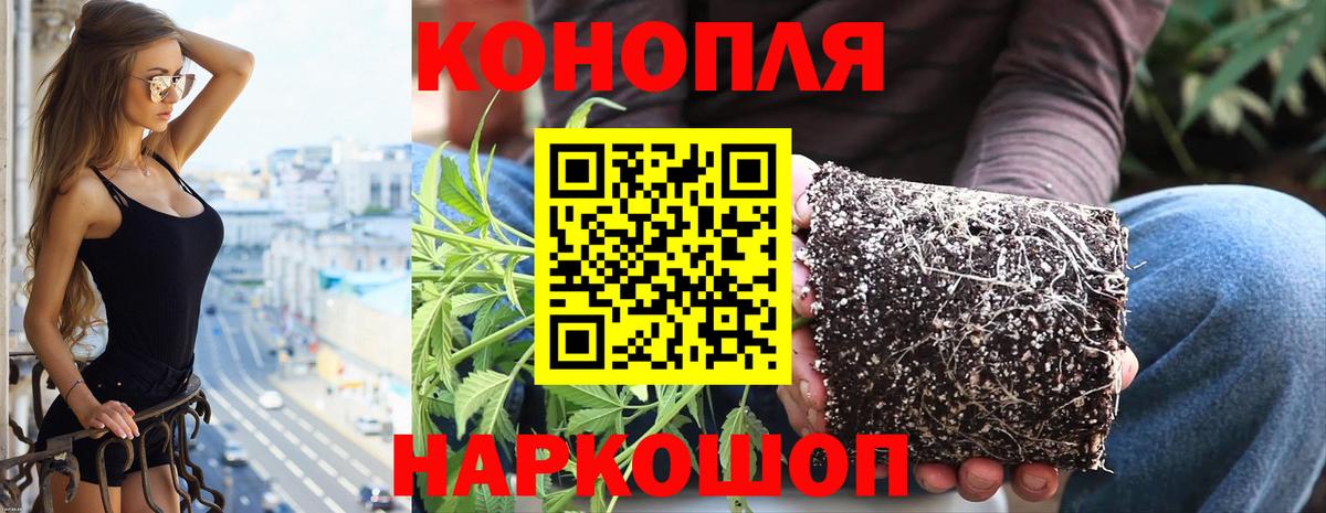 Канабис MAZAR Котлас